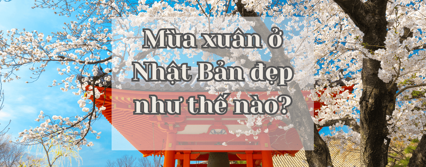 Read more about the article Mùa xuân Nhật Bản
